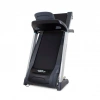 
            Электрическая беговая дорожка Strength Master TM6030        