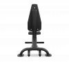 Скамья-стул профессиональный BRONZE GYM BR-1003