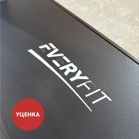 
            Электрическая беговая дорожка Everyfit FFT07 (витринный образец)        