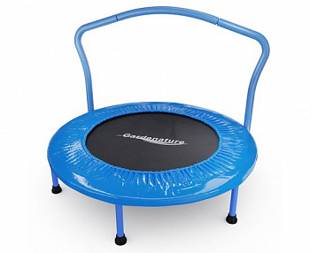 Батут с поручнем DFC Gardenature 36'' синий