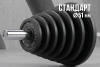 Диск 51 мм. чугунный окрашенный  1,25 кг (2 штуки)   VictoryFit VF-SC510125-2