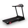 
            Электрическая беговая дорожка Everyfit 74305A        