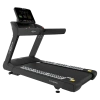 Беговая дорожка CardioPower PRO CT350