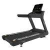 Беговая дорожка CardioPower PRO CT350