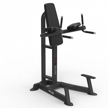Пресс-брусья Insight Fitness PTT0215F