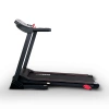 
            Электрическая беговая дорожка Everyfit 74305A        