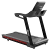 Беговая дорожка CardioPower PRO CT230