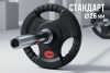 Диск 31 мм. обрезиненный с 3-мя хватами  1,25 кг (2 штуки)   VictoryFit VF-S250125-2