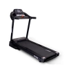 
            Электрическая беговая дорожка Everyfit FFT025        