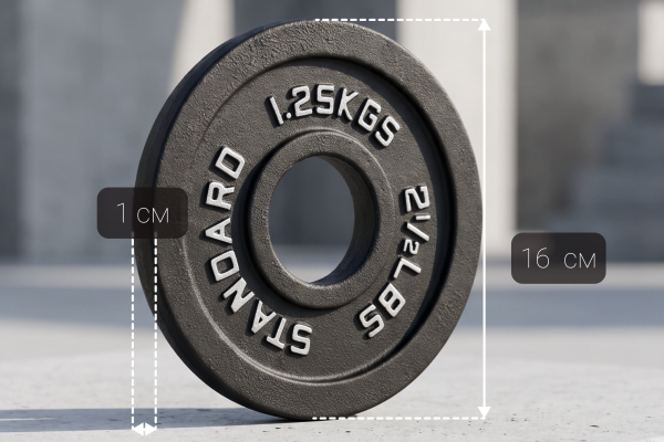 Диск 51 мм. чугунный окрашенный  1,25 кг (2 штуки)   VictoryFit VF-SC510125-2
