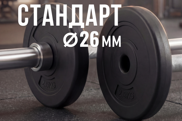 Диск 26 мм. пластиковый  2,5 кг (2 штуки)   VictoryFit VF-SPL26025-2