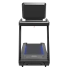 Беговая дорожка CardioPower PRO CT420