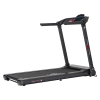 Беговая дорожка CardioPower TT30