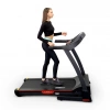 
            Электрическая беговая дорожка Everyfit 74500B        
