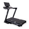 
            Электрическая беговая дорожка Everyfit FFT06        