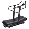 Беговая дорожка CardioPower PRO TG300
