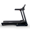 
            Электрическая беговая дорожка Everyfit 74203B        