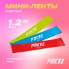 Комплект мини-лент PRCTZ POWER BAND KIT, 3 шт.