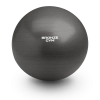 Мяч гимнастический GYM BALL  ANTI-BURST, 55 см.