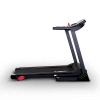 
            Электрическая беговая дорожка Everyfit 74305A        
