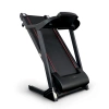 
            Электрическая беговая дорожка Everyfit 74305B        