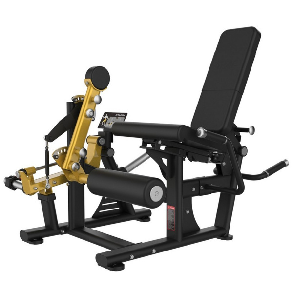 Сгибание ног лежа и разгибание ног Gymmaster EK586