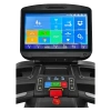 Беговая дорожка CardioPower PRO CT550 – V12T