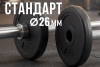 Диск 26 мм. пластиковый  1,0 кг (2 штуки)   VictoryFit VF-SPL260100-2
