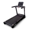 
            Электрическая беговая дорожка Everyfit FFT05 (витринный образец)        