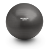 Мяч гимнастический GYM BALL  ANTI-BURST, 55 см.