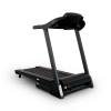 
            Электрическая беговая дорожка Everyfit 74305B        