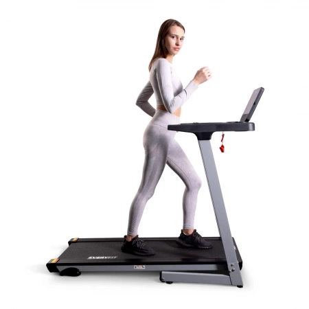 
            Электрическая беговая дорожка Everyfit 74209        