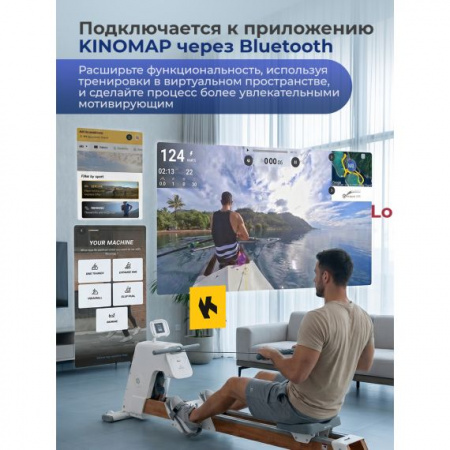                 Гребной тренажер DFC YESOUL SQ-RM2002YL, водный