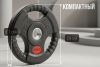 Диск 31 мм. обрезиненный с 3-мя хватами  2,5 кг (2 штуки)   VictoryFit VF-S250250-2