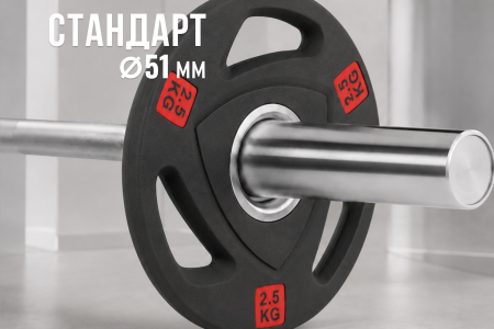Диск 51 мм. NEO обрезиненный с 3-мя хватами  2,5 кг (2 штуки)   VictoryFit VF-ST51025-2