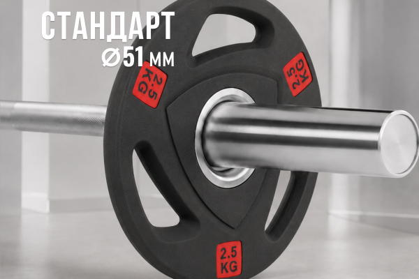 Диск 51 мм. NEO обрезиненный с 3-мя хватами  2,5 кг (2 штуки)   VictoryFit VF-ST51025-2