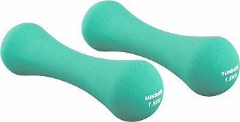 Набор гантелей Sundays Fitness IR92004-D 2х1,5кг, бирюзовый