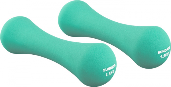 Набор гантелей Sundays Fitness IR92004-D 2х1,5кг, бирюзовый
