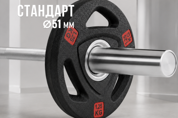 Диск 51 мм. NEO обрезиненный с 3-мя хватами  1,25 кг (2 штуки)   VictoryFit VF-ST510125-2