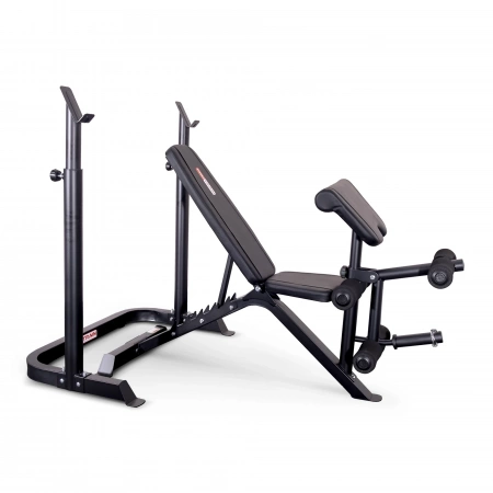 
            Скамья для жима с подставкой для штанги Protrain WB859P        