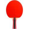 Ракетка для настольного тенниса Cornilleau Sport 300 ITTF approved (FL)