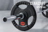 Диск 31 мм. обрезиненный с 3-мя хватами  2,5 кг (2 штуки)   VictoryFit VF-S250250-2