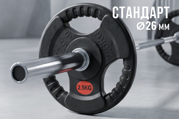 Диск 31 мм. обрезиненный с 3-мя хватами  2,5 кг (2 штуки)   VictoryFit VF-S250250-2