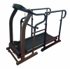 Беговая дорожка AMF 8612H + поручни D3