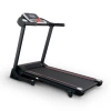 
            Электрическая беговая дорожка Everyfit 74305B        