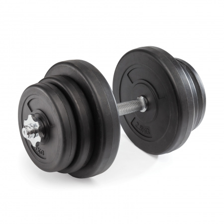 Диск 26 мм. пластиковый 10 кг (2 штуки)   VictoryFit VF-SPL26100-2