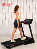 Беговая дорожка Titanium Masters Physiotech TCA