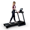 
            Электрическая беговая дорожка Everyfit 74203B        