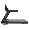 Беговая дорожка CardioPower PRO CT350