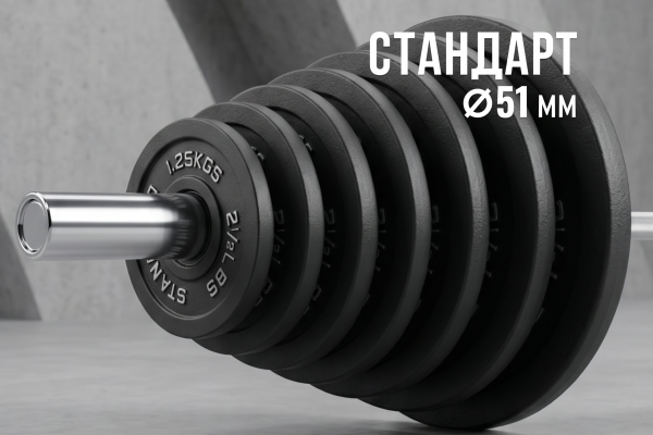 Диск 51 мм. чугунный окрашенный  2,5 кг (2 штуки)   VictoryFit VF-SC510250-2